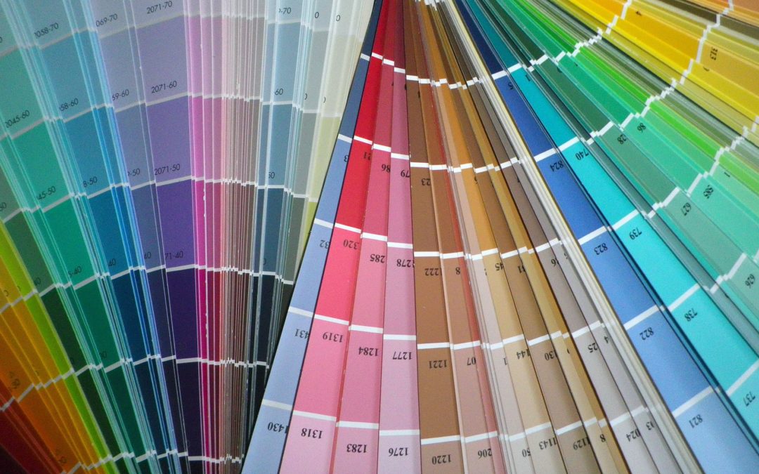 variety of paint swatches