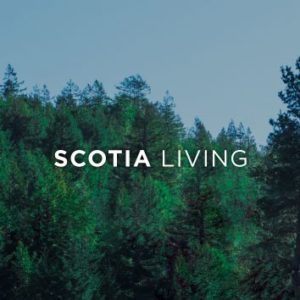 A Landscape of Trees Located Near New Homes For Sale in Scotia