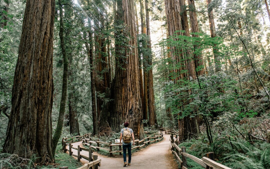 Bay Area Hikes To Do List
