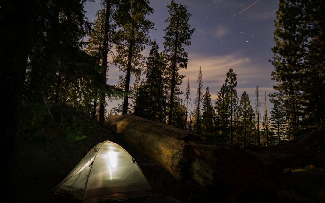 Best Campsites In California