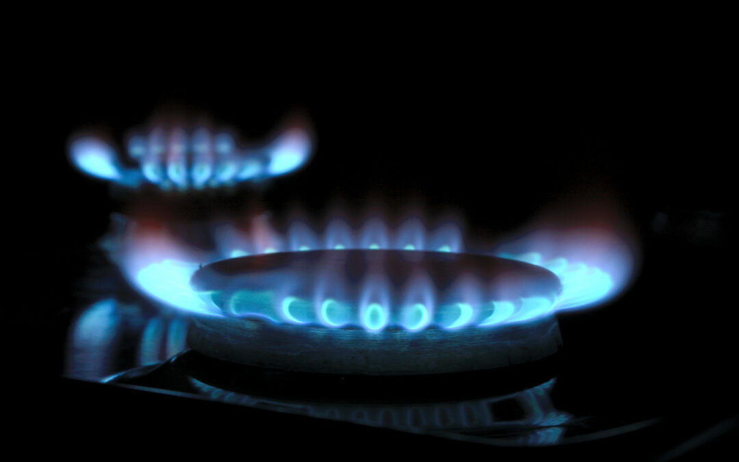 Ban on Natural Gas Appliances in California as of 2030 for Homeowners